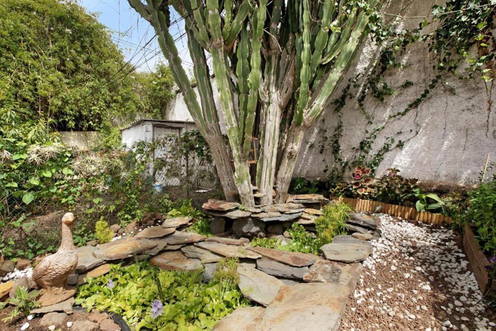 Willa Casa Con Jardin Tacoronte Zewnętrze zdjęcie